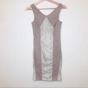 Point Tan Lace Bodycon Dress